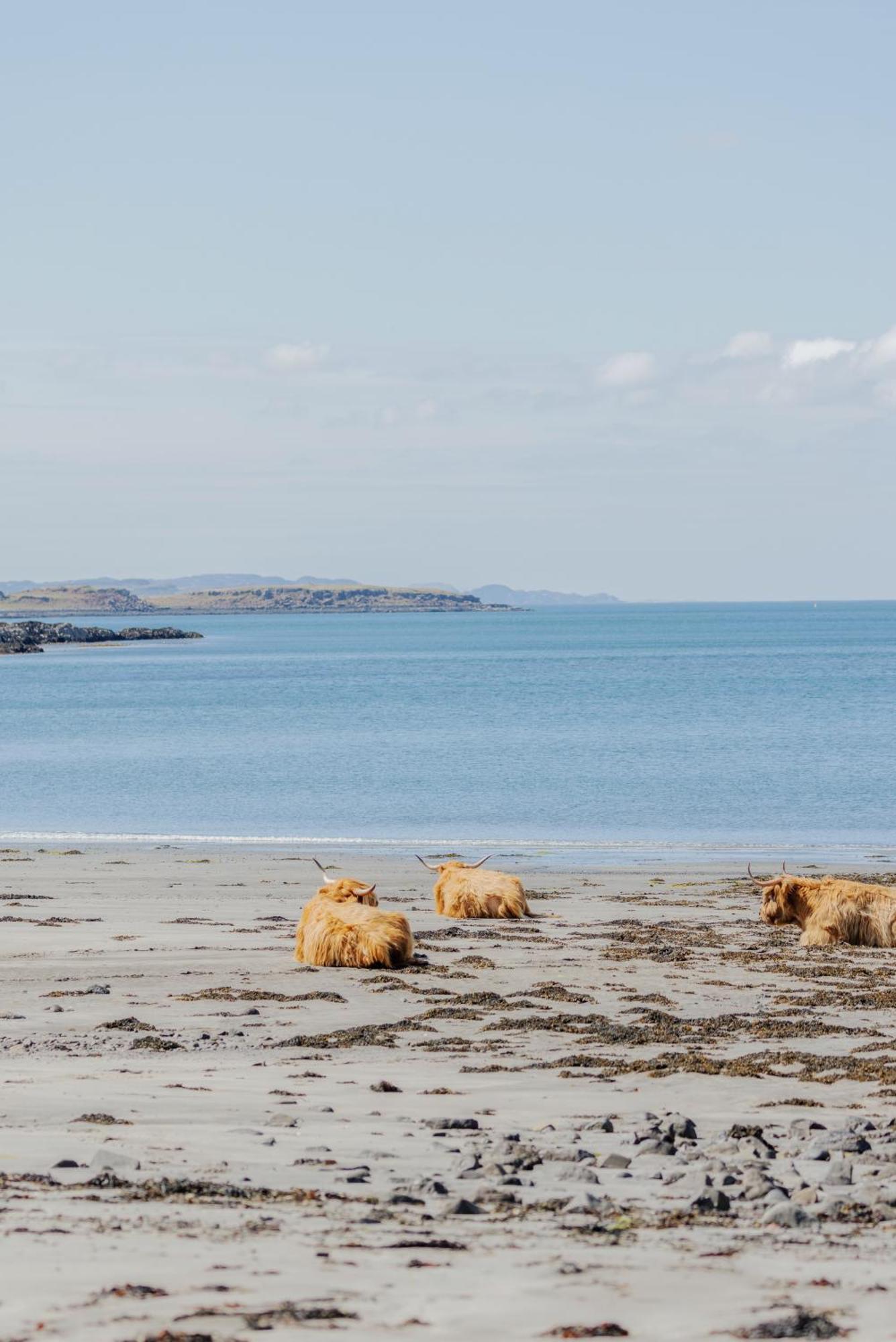 At Port Nan Gael